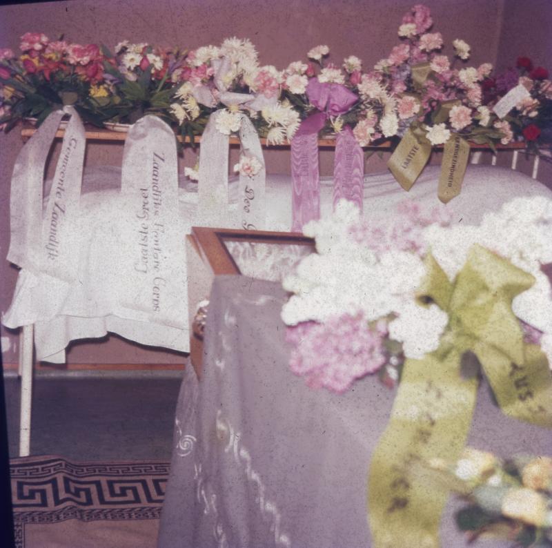 Foto 233726598